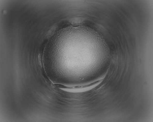 X0000067480575200604211636