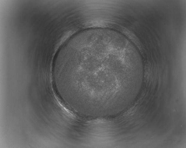 X0000067480578200604211635