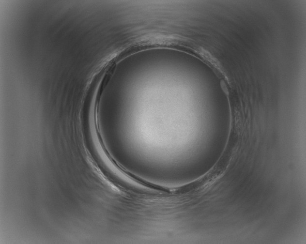 X0000067480581200604211635