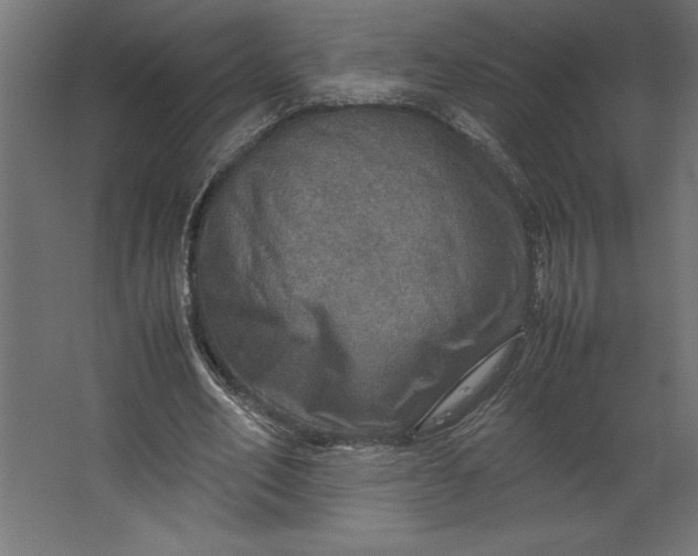 X0000067480582200604211635