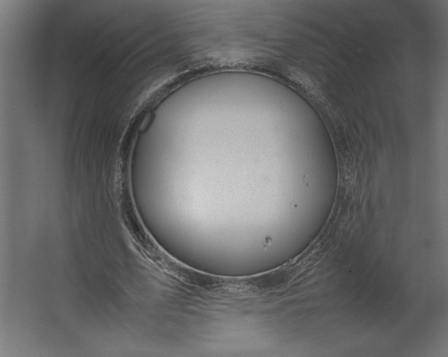 X0000067480583200604211635