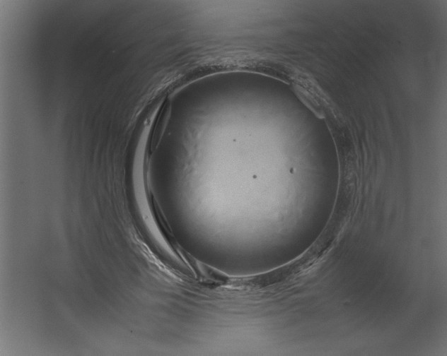 X0000067480585200604211635