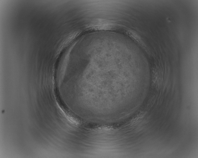 X0000067480586200604211635