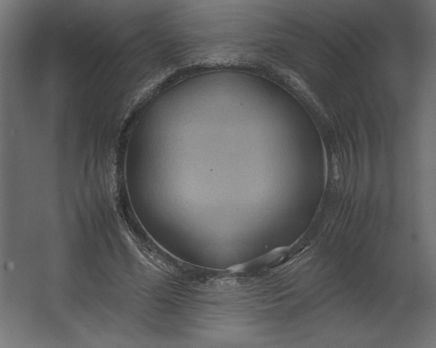 X0000067480588200604211635