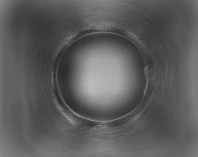 X0000067480589200604211635