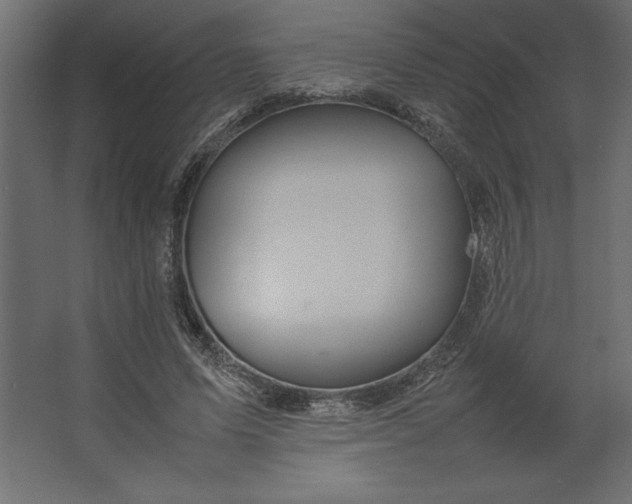 X0000067480591200604211635