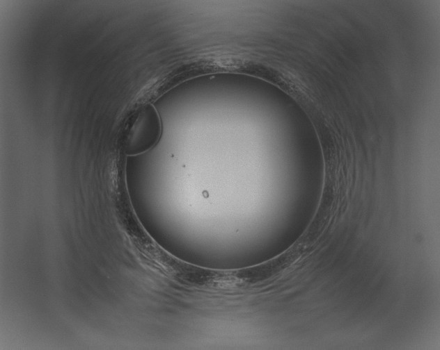 X0000067480595200604211635