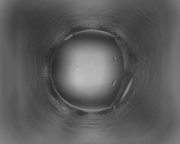 X0000067480597200604211635