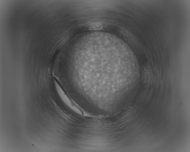 X0000067480598200604211635