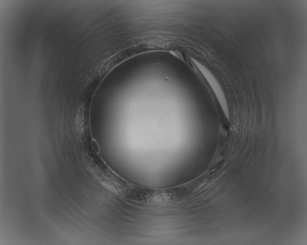 X0000067480600200604211635