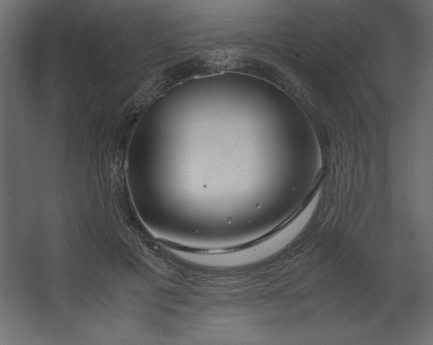 X0000067480601200604211635