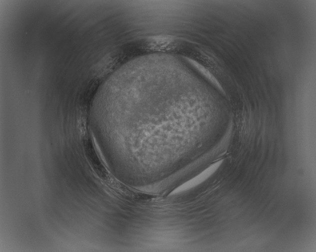 X0000067480602200604211635