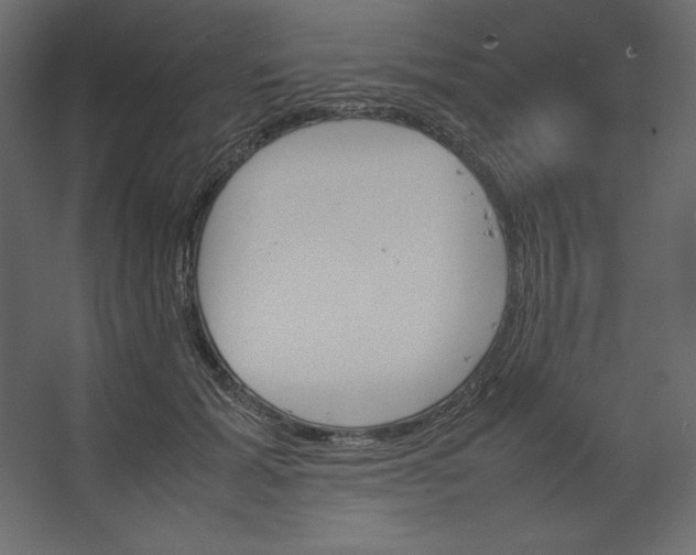 X0000067480605200604211635