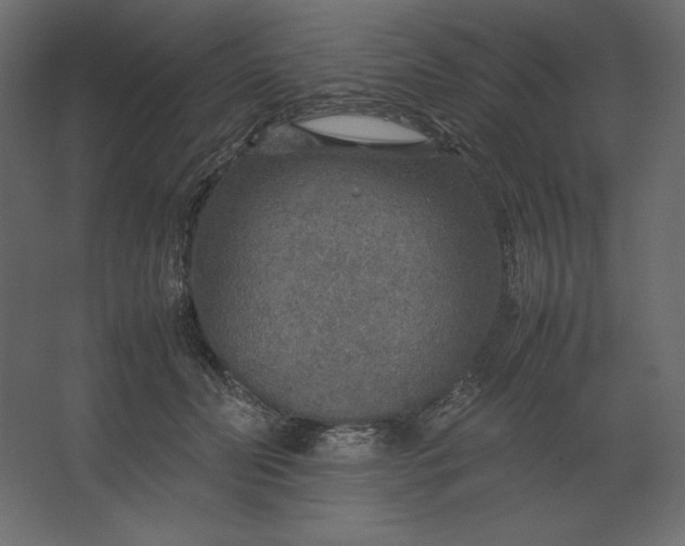 X0000067480606200604211635