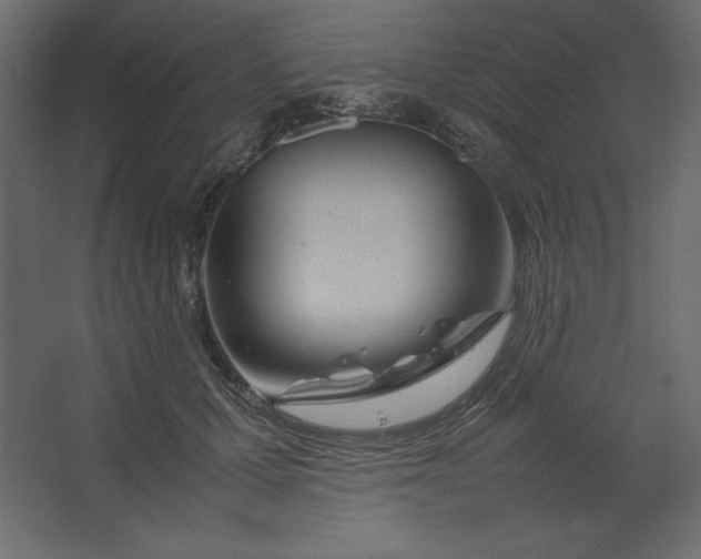 X0000067480607200604211635