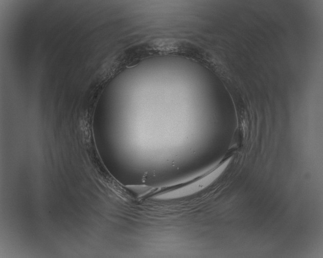 X0000067480609200604211635