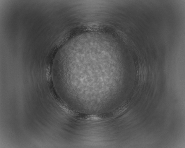 X0000067480610200604211635