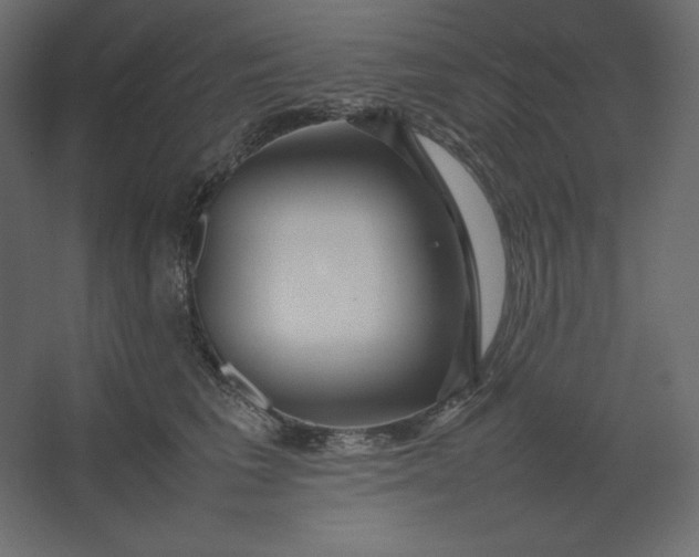 X0000067480613200604211635