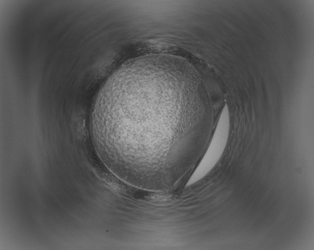 X0000067480615200604211635