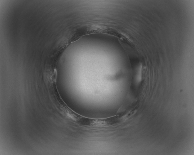 X0000067480617200604211635