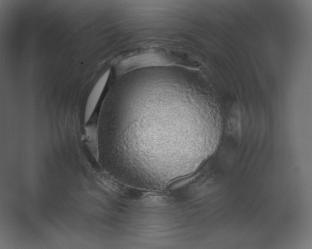 X0000067480620200604211635