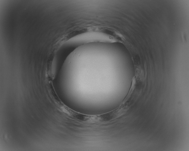 X0000067480621200604211635