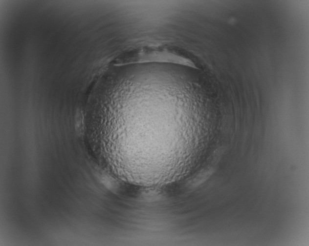 X0000067480624200604211634