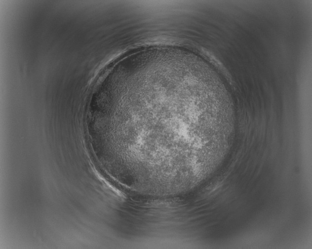 X0000067480625200604211634