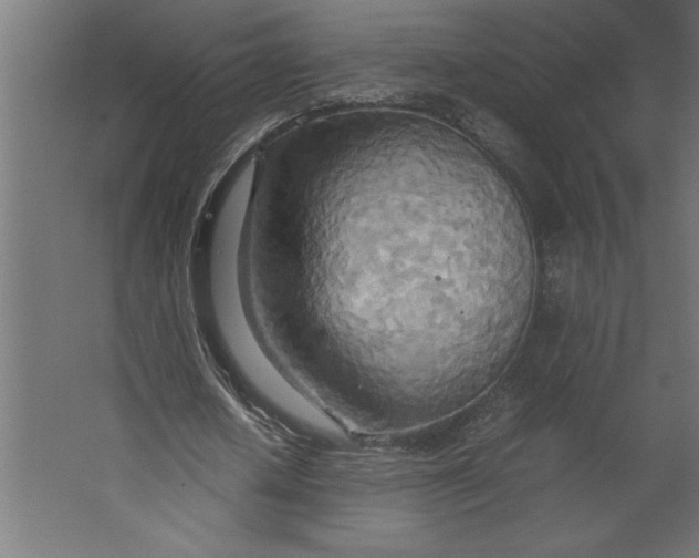 X0000067480626200604211634