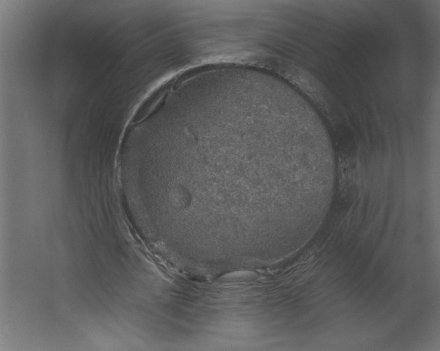 X0000067480628200604211634