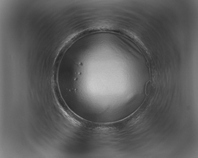 X0000067480629200604211634