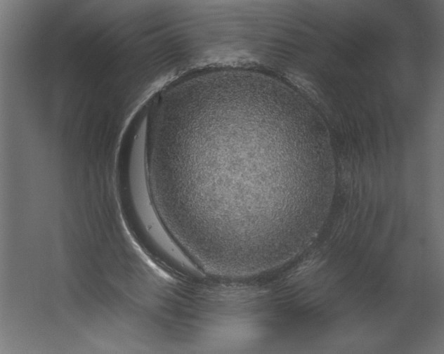 X0000067480630200604211634