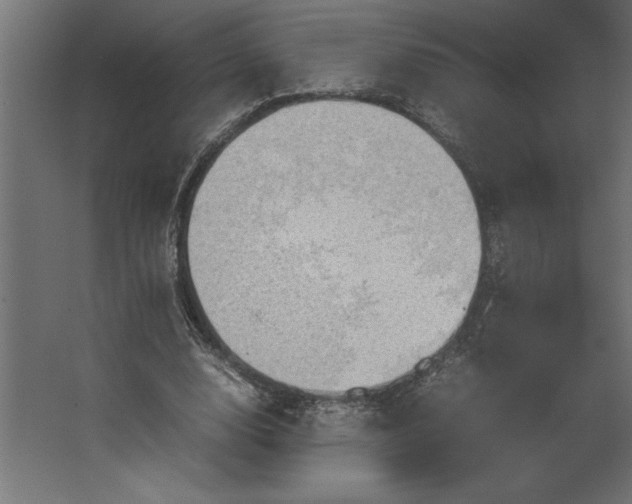 X0000067480632200604211634