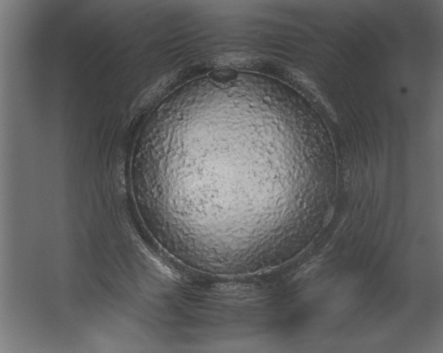 X0000067480633200604211634