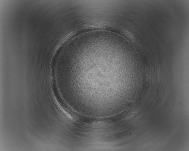 X0000067480634200604211634