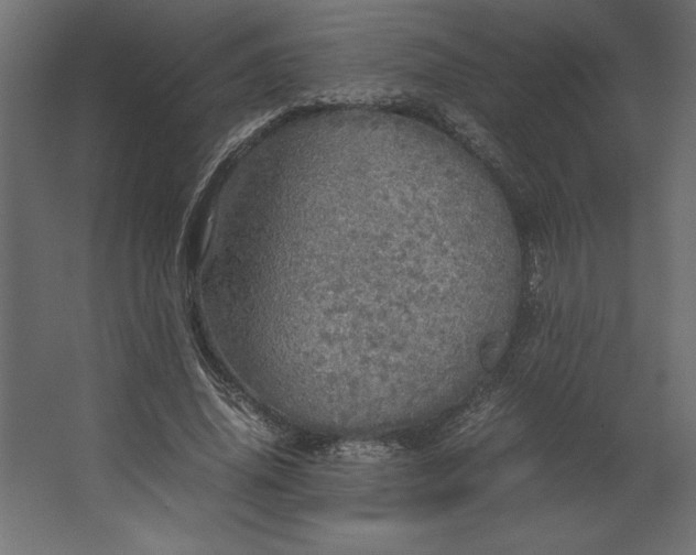 X0000067480636200604211634