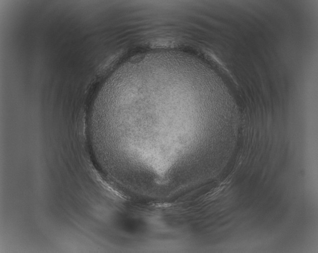 X0000067480637200604211634