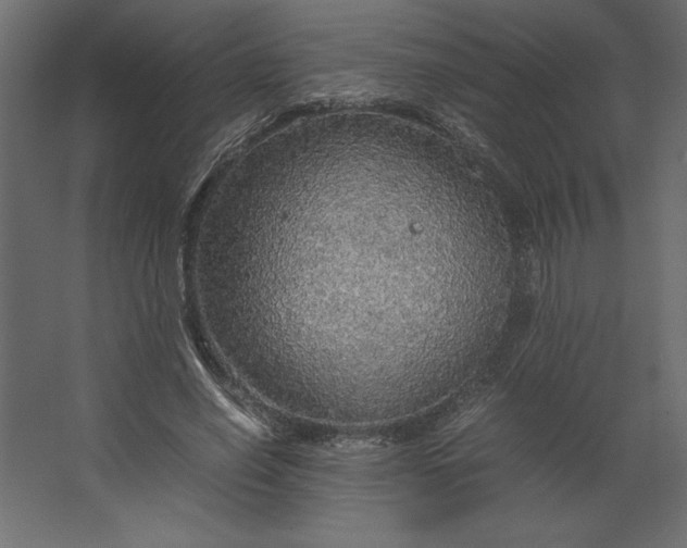 X0000067480638200604211634