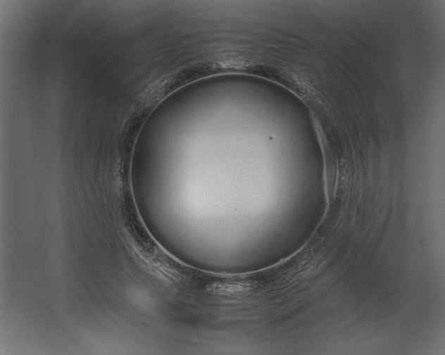 X0000067480639200604211634