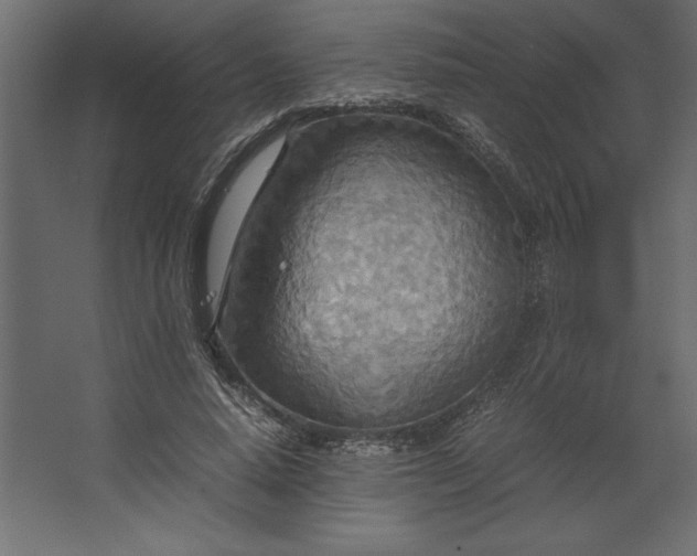 X0000067480640200604211634