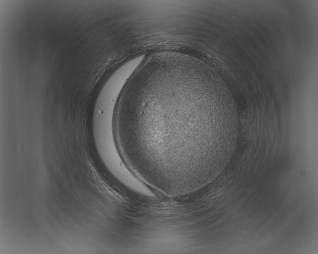 X0000067480642200604211634