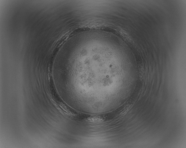 X0000067480644200604211634