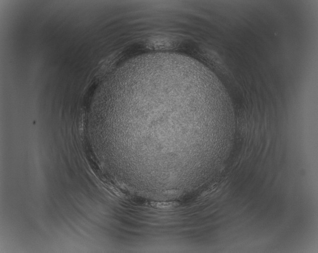 X0000067480645200604211634