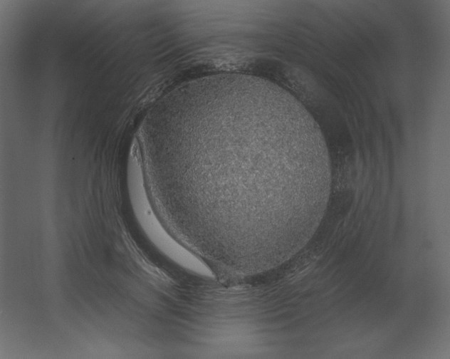 X0000067480646200604211634