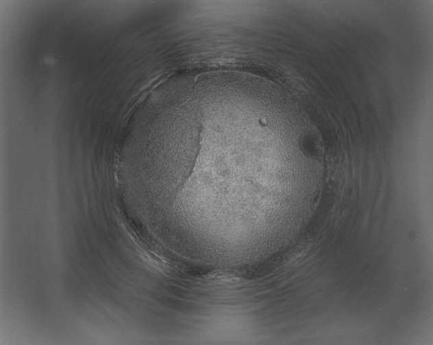 X0000067480648200604211634