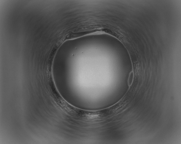 X0000067480651200604211634