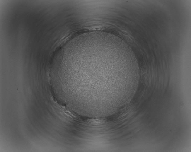 X0000067480652200604211634