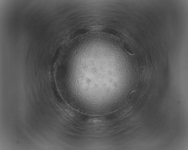 X0000067480655200604211634