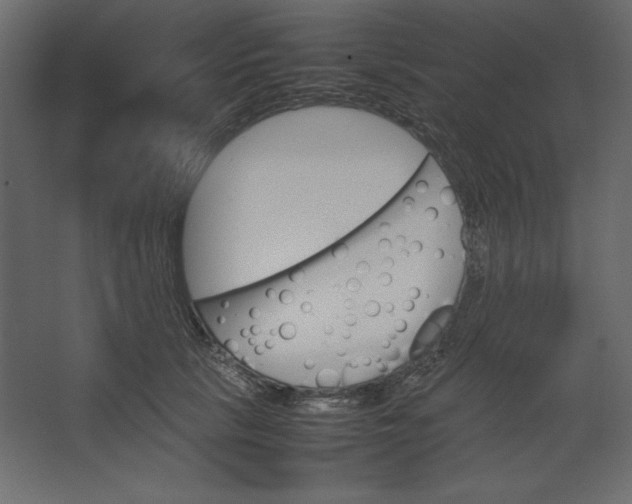 X0000067480657200604211634