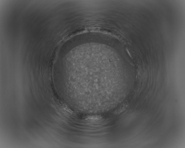 X0000067480659200604211634